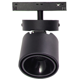 Magnet Ray Spot Dali Dimli