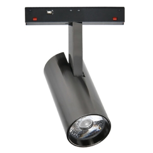 Magnet Ray Spot Dali Dimli Platin