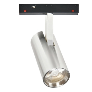 Magnet Ray Spot Dali Dimli Silver