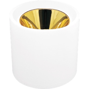 Sıva Üstü Metal Boş Kasalar Altın