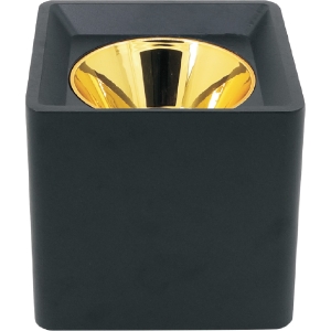 Sıva Üstü Metal Boş Kasalar Altın