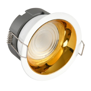 Profesyonel Downlight