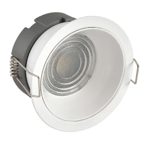 Profesyonel Downlight